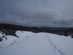 YR162948c