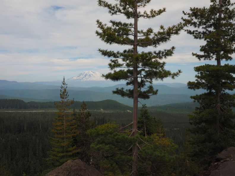 The Muddy River is in the foreground of this Mt. Adams photo.