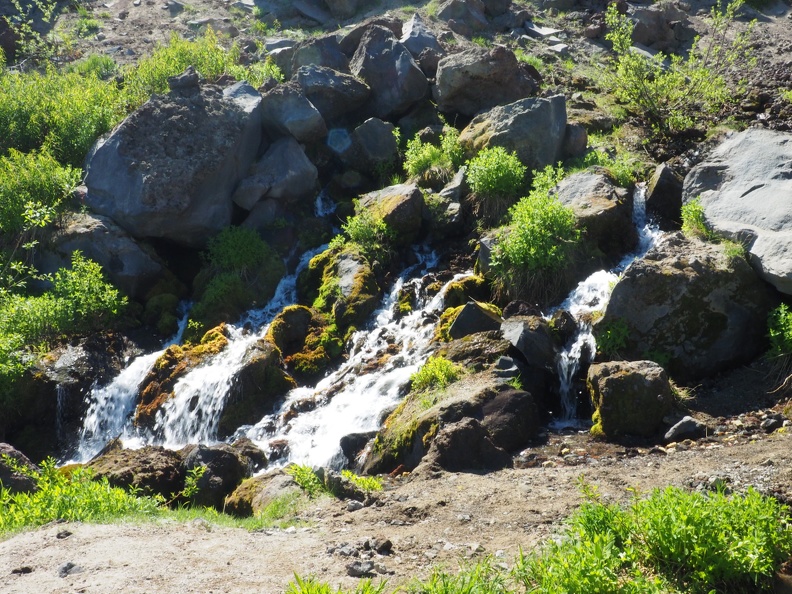 Big Spring gushes from a gully on the mountainside. A lot of alder grows around here because the ground is stable.