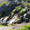 Big Spring gushes from a gully on the mountainside. A lot of alder grows around here because the ground is stable.