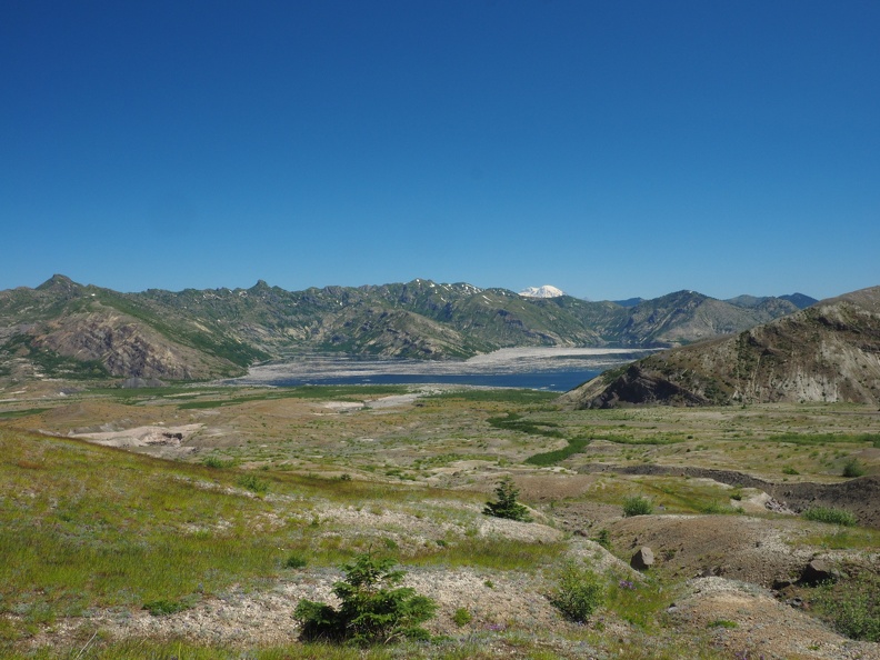 I thought this was the best view of Spirit Lake from teh trail. The trail continues to drop down a bit  until Mt. Rainier disappears.