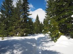 Mt. St. Helens near the bottom of June Lake Trail