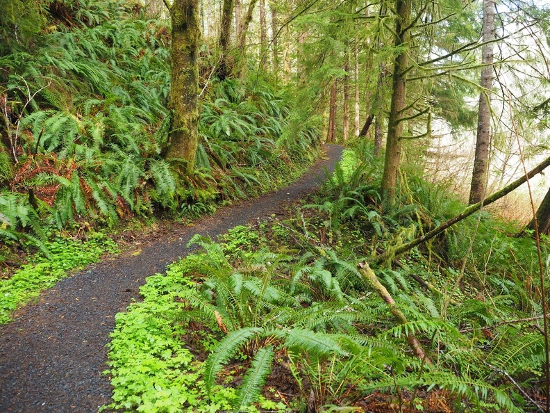 Some sections of the Fort to Sea trail are well gravelled.