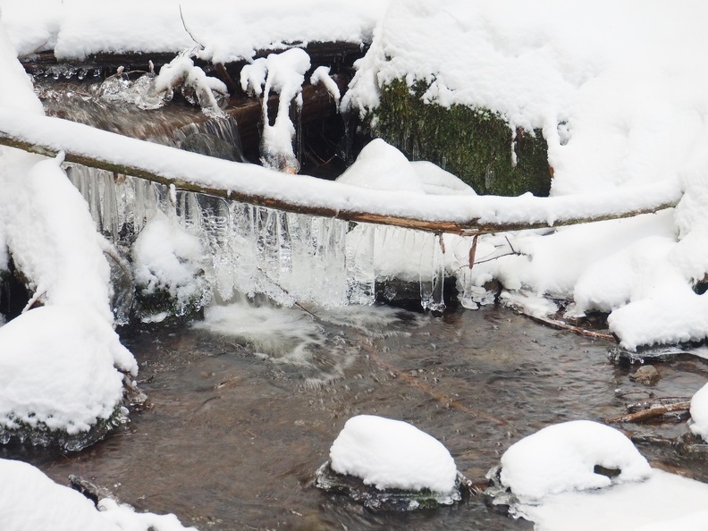 Icicles in the stream