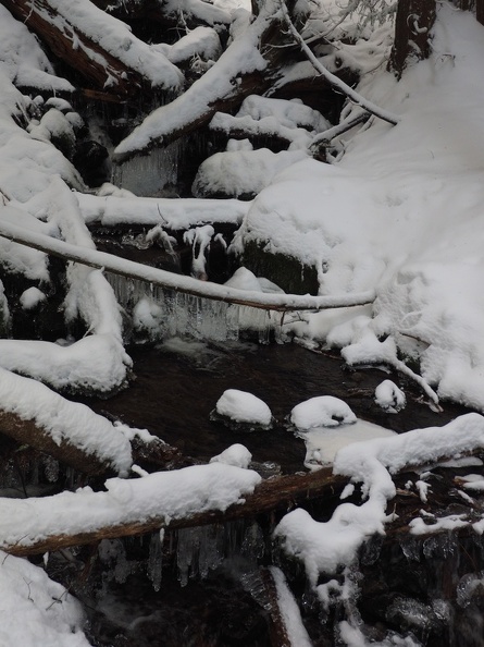 Icicles in the stream