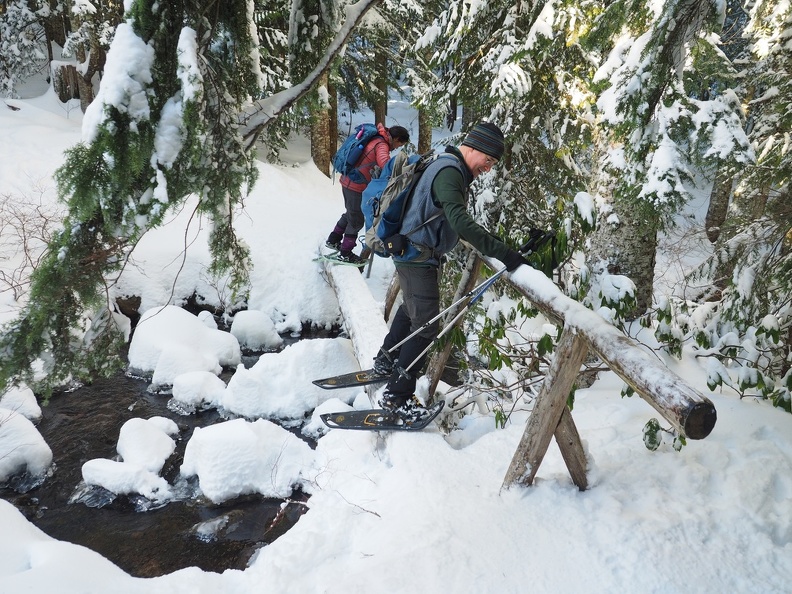 Negotiating a log bridge on the Mirror Lake loop