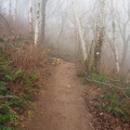 Winter fog on the Cape Horn Trail