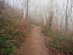 Winter fog on the Cape Horn Trail