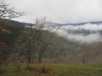 This hike is on the dry side of the Gorge, though we still got some rain.