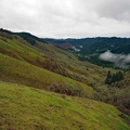The hillsides are green in early spring.