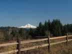 Powell Butte Photos OR