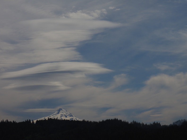 You can see Mt. Hood to the south along the middle portion of the trail.