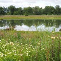 One of the ponds along the trail