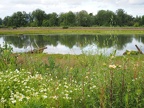 One of the ponds along the trail
