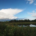 A pleasant stroll along the ponds and marshes