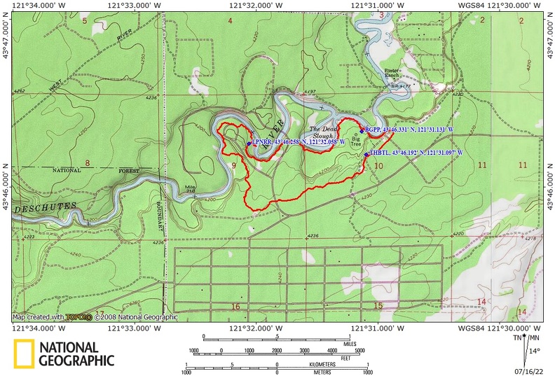 Big_Tree_and_Cougar_Woods_Route_OR.JPG