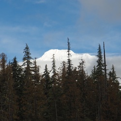 Crosstown Snowshoe Photos OR