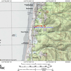 Old Growth Cedar Route OR