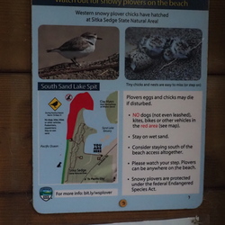 Sitka Sedge Natural Area Photos OR