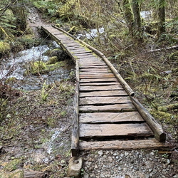 Sixth Sense Trail Photos WA