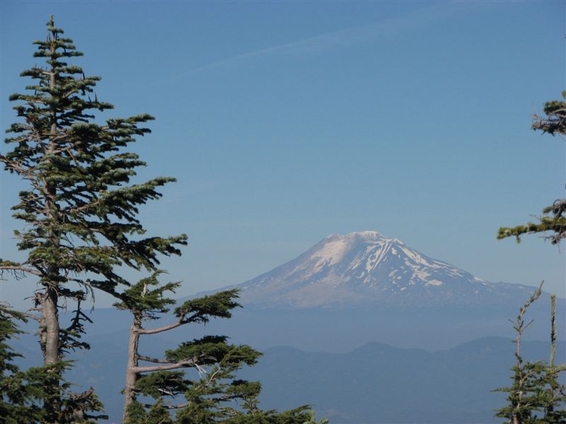 Mt. Adams looms in the distance from a panoramic viewpoint along the Mt. Defiance Trail.