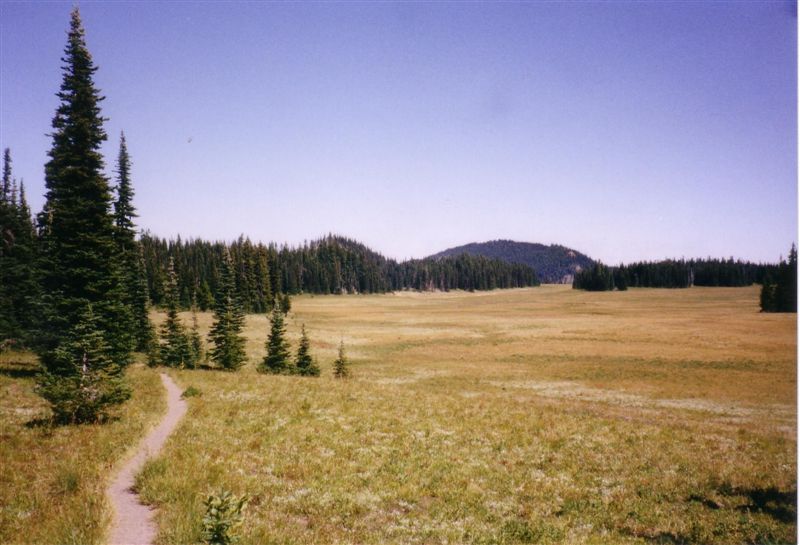 The trail as you enter Grand Park.