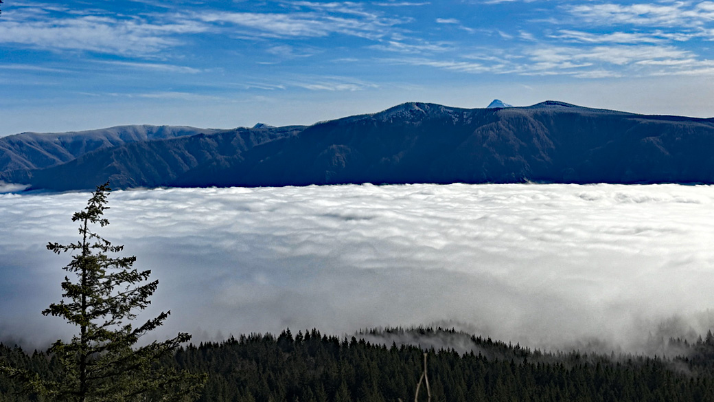 Duncan Creek – Cynthia Falls, WA