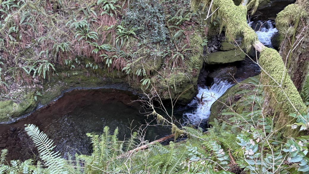 Duncan Creek East Loop, WA