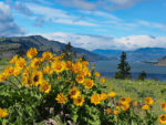 Mosier Plateau, OR