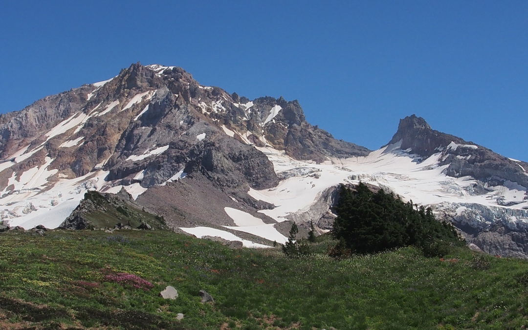 Yocum Ridge, OR