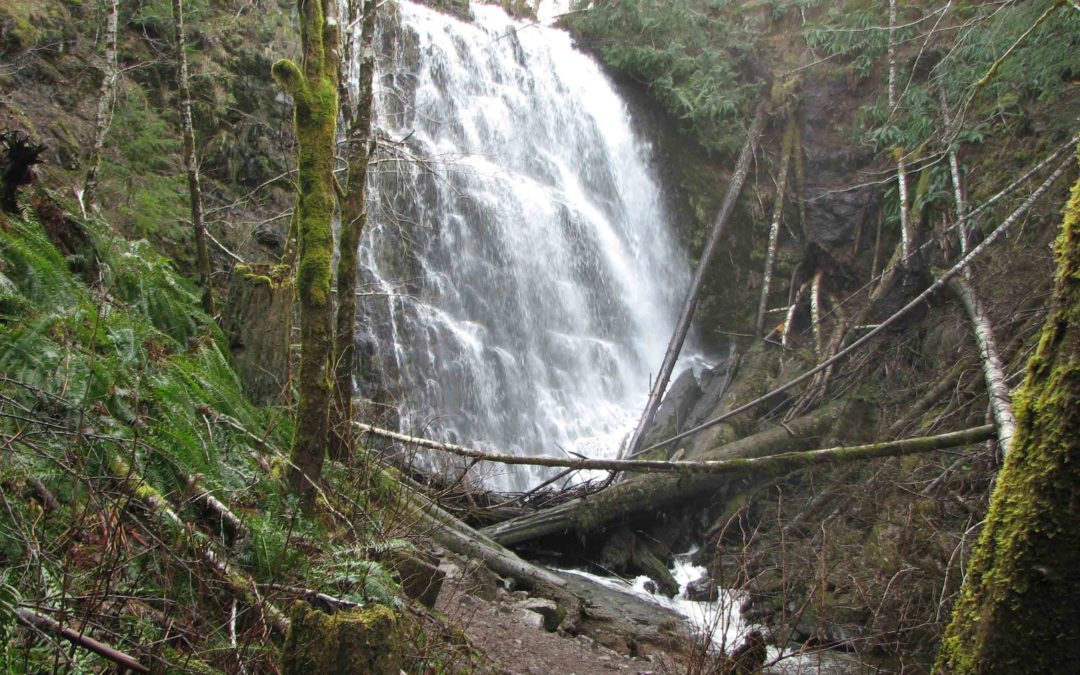 University Falls Trail, OR