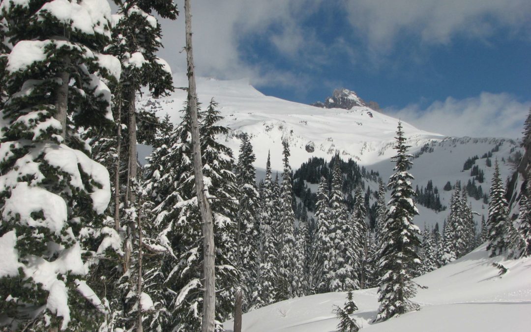 Paradise Valley Road Snowshoe, WA