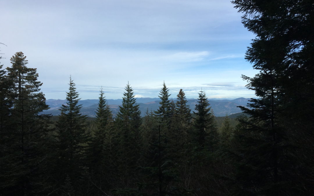 Larch Mountain Crater, OR