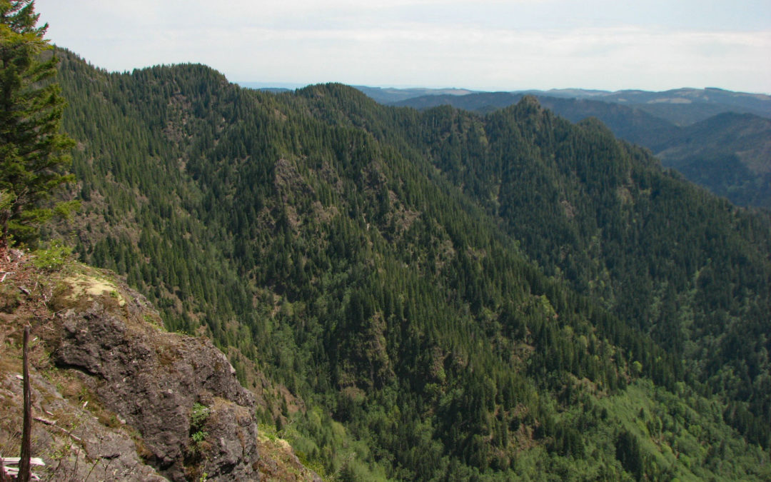 Wilson River Trail – Elk Creek to Kings Mtn. Trailhead, OR