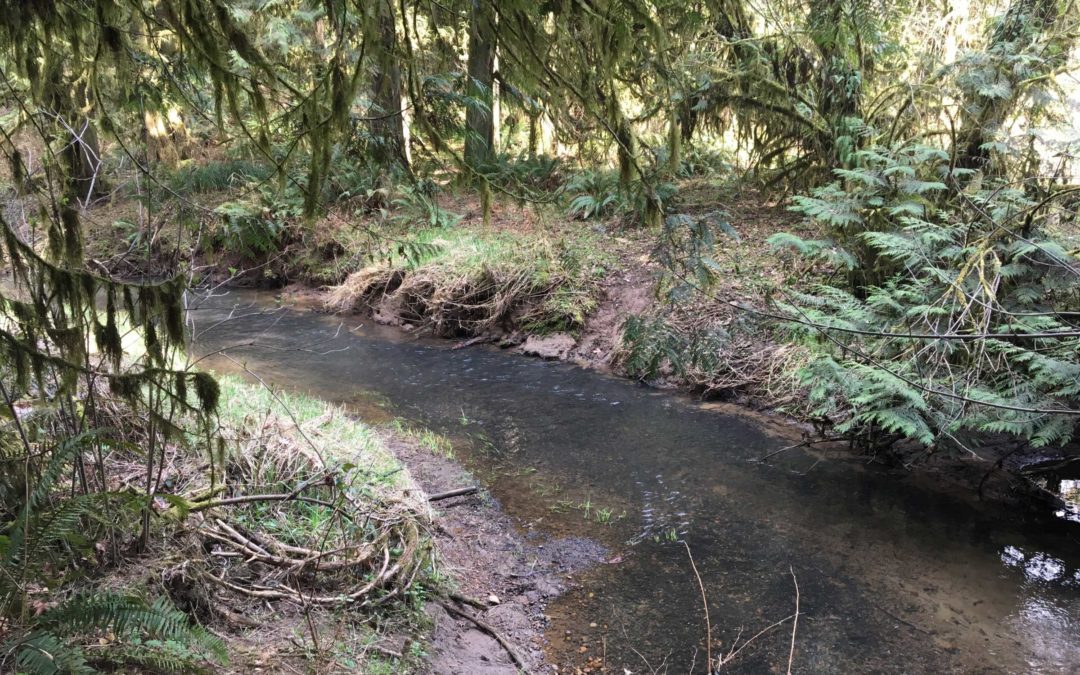 Salmon-Morgan Creeks, WA