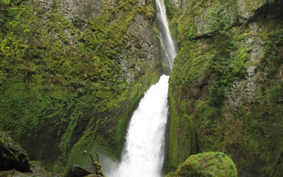 Wahclella Falls, OR