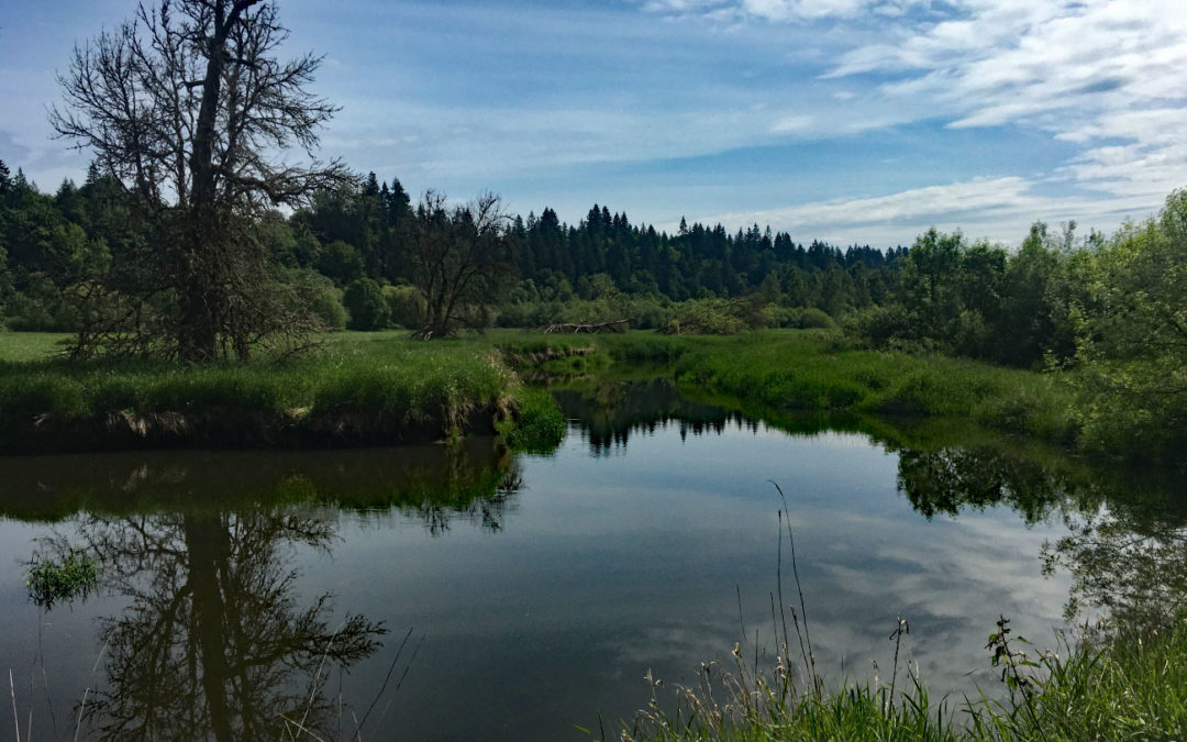 Salmon Creek Trail, WA