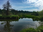 Salmon Creek Trail, WA