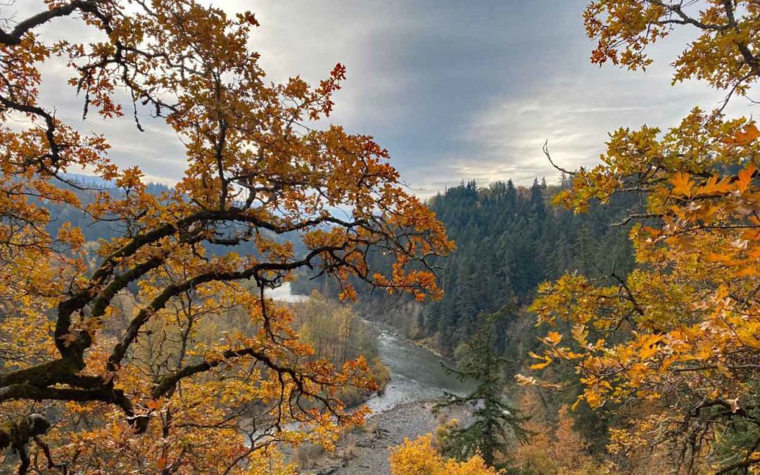 Indian Creek Trail, OR