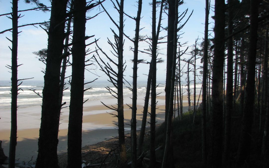 Cape Lookout Coastal Trail, OR