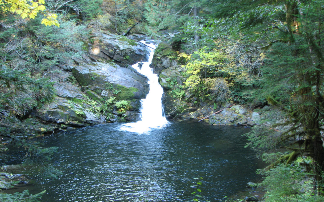 Siouxon Creek, WA