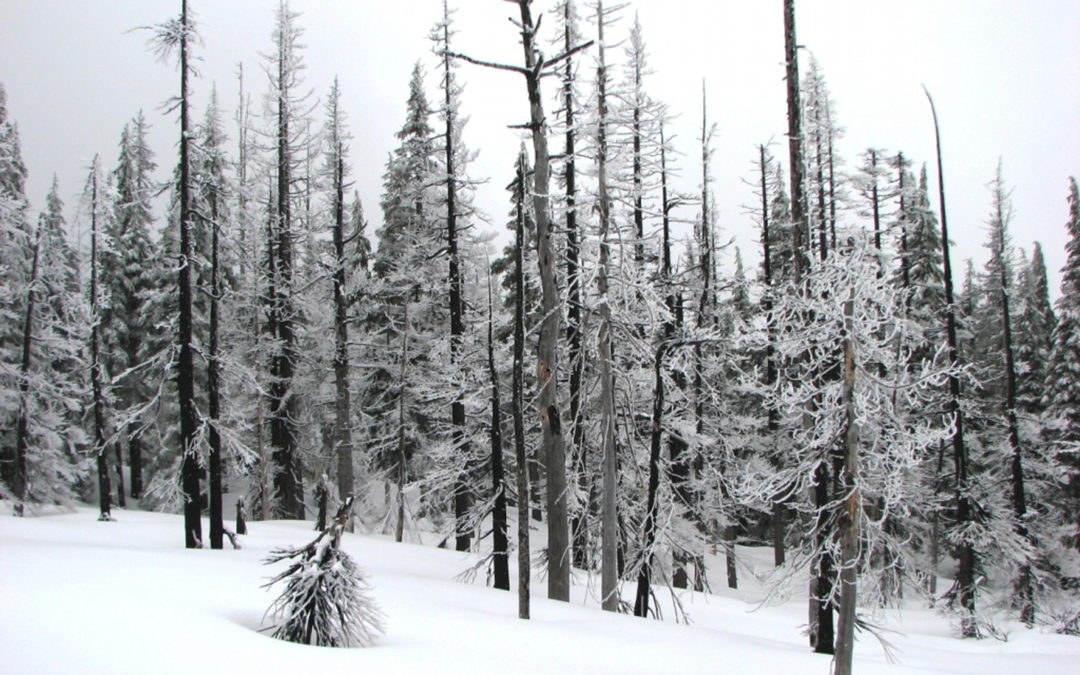 South Cinder Cone, OR