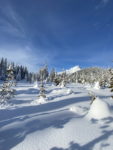 Mt. Hood at White River