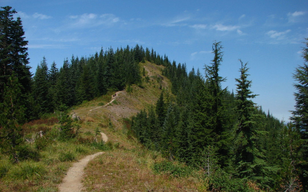East Zigzag Mountain, OR