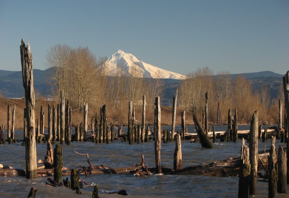 Steigerwald Lake, WA