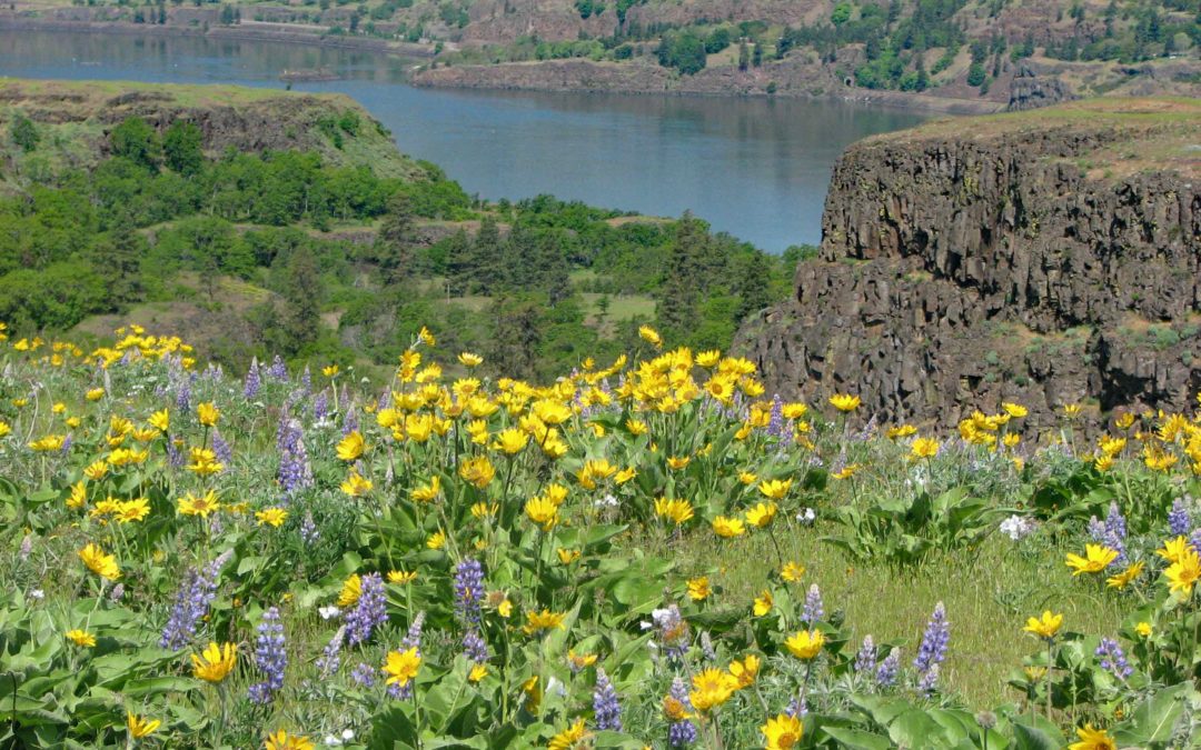 Tom McCall Nature Preserve, OR