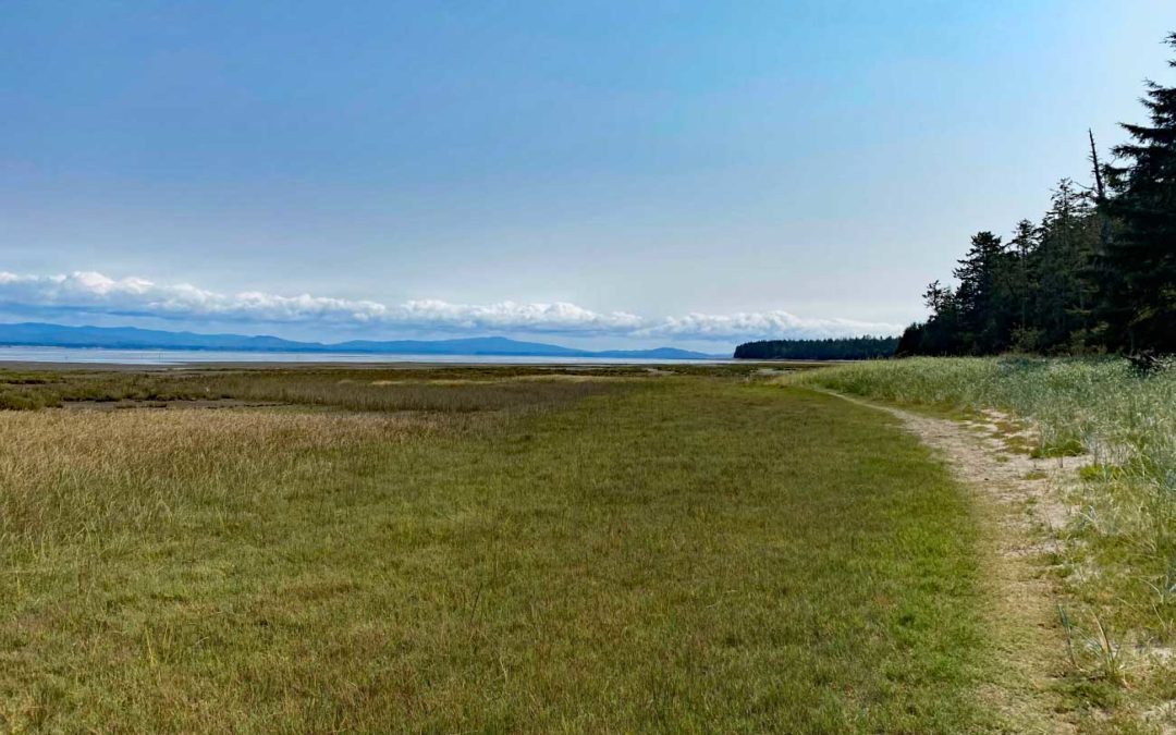 Dune Forest Loop Trail, WA