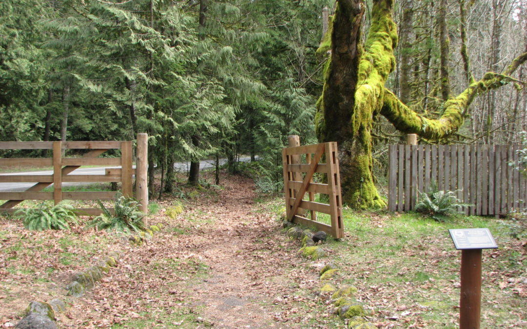 Pioneer Bridle Trail, OR