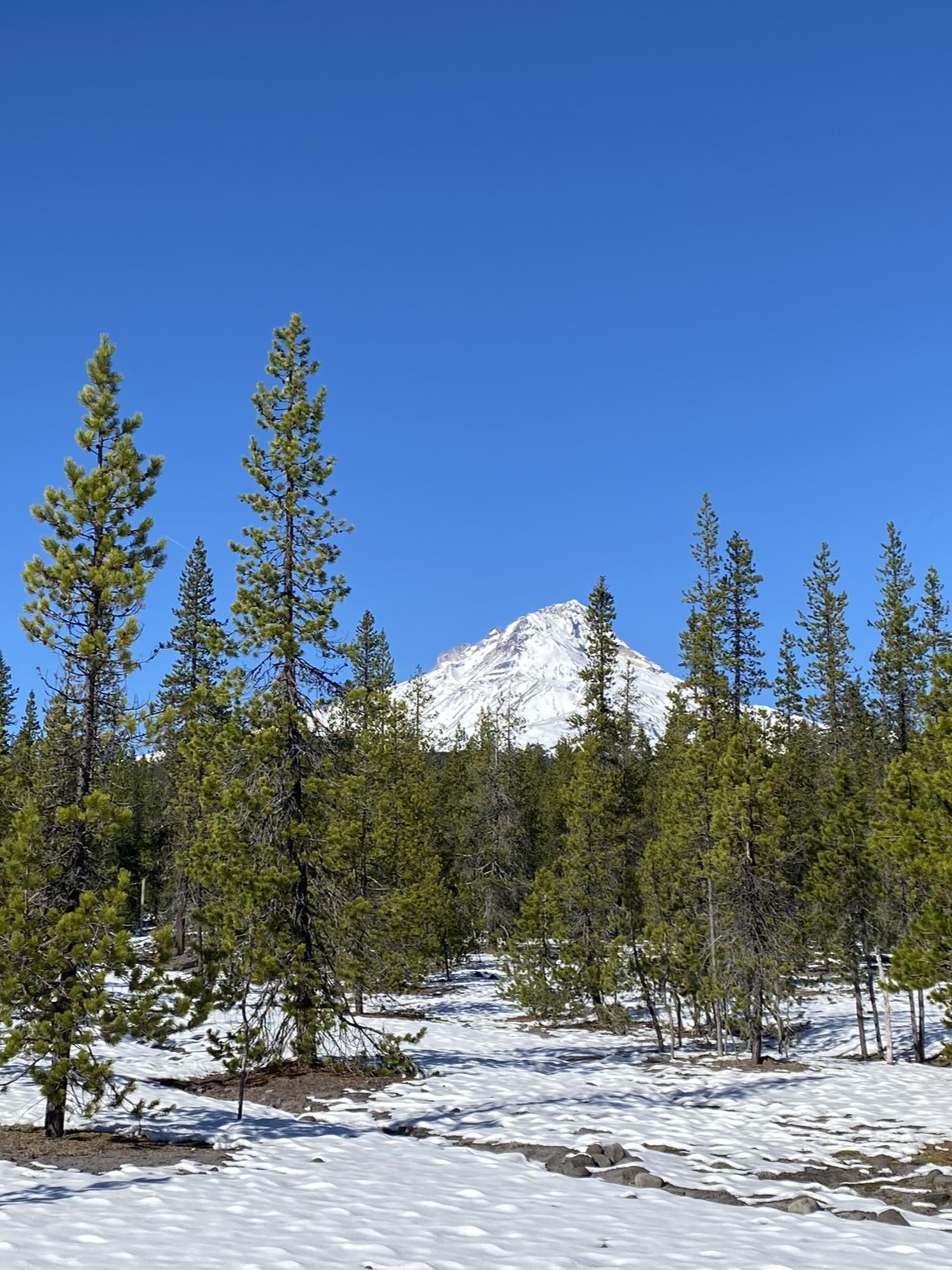 White River Trail, Oregon