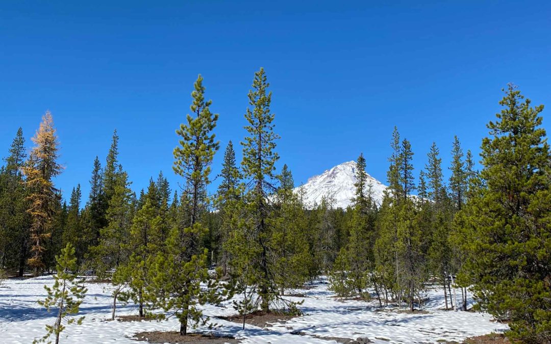 White River Trail #538, OR